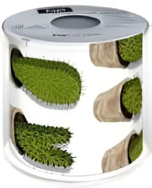 'Cactuses' Novelty Loo Roll Bakeware & More