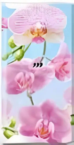 'Bright Orchid' Pack of hankies Bakeware & More