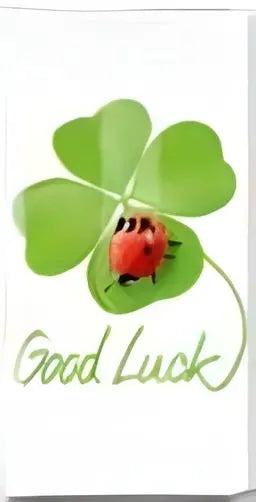 'Good Luck To You' Pack of hankies Bakeware & More