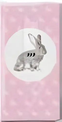 'Portrait Of Rabbit' Pack of hankies Bakeware & More