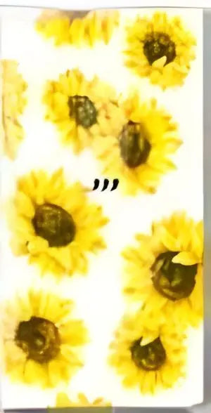 'Sunflower Garden' Pack of hankies Bakeware & More