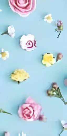 'Spring Melody' Pack of hankies Bakeware & More