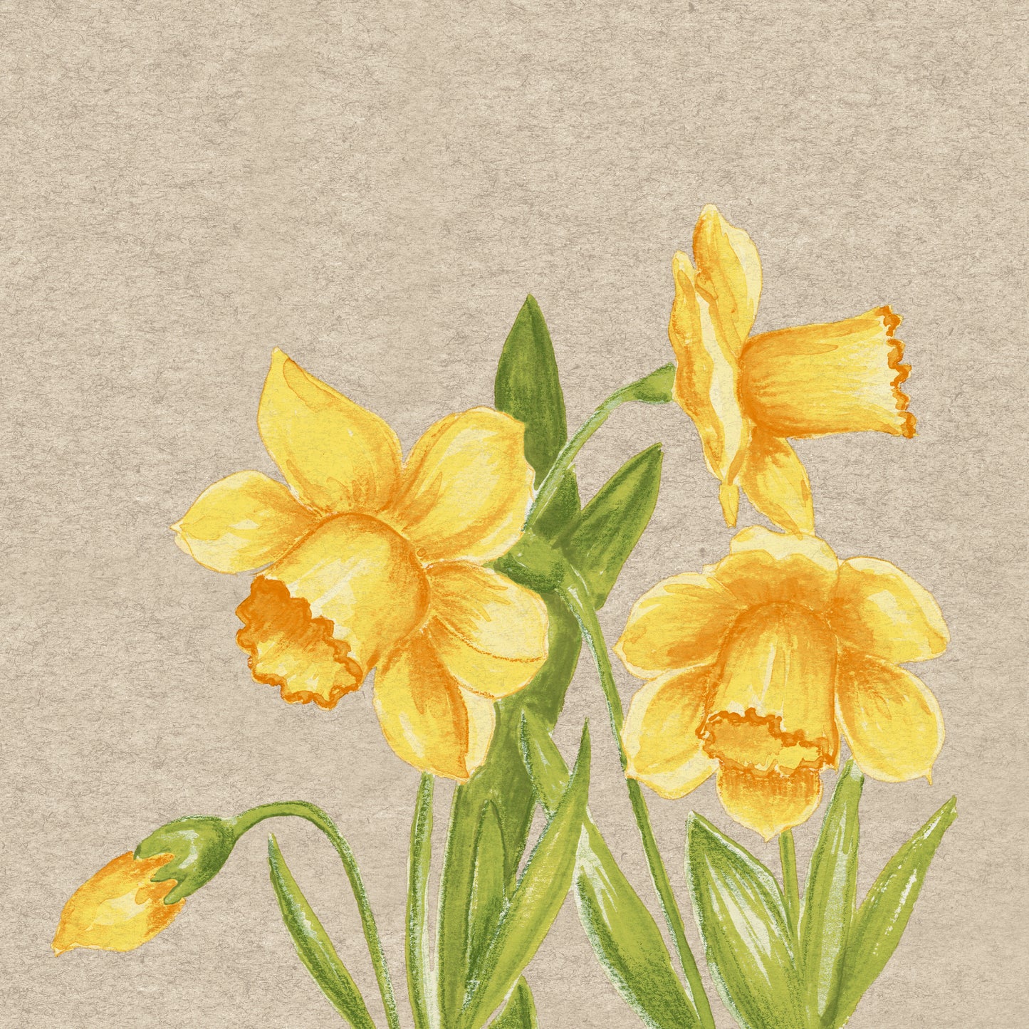 'Daffodil' 24cm 2 Ply Napkins