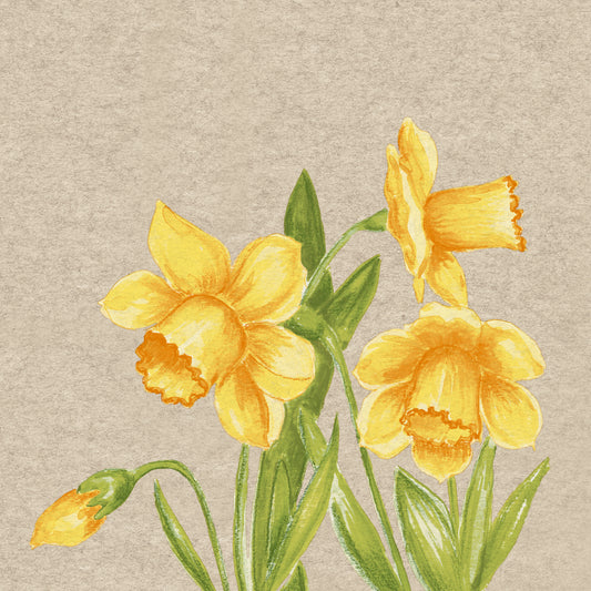 'Daffodil' 24cm 2 Ply Napkins