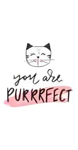 'Purrfect' Pack of hankies Bakeware & More