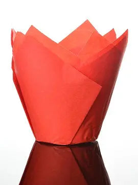 Red Tulip Muffin Wrap Bakeware & More