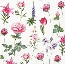 'Boons Of Garden' 33cm 3 Ply Napkins