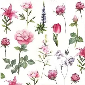 'Boons Of Garden' 33cm 3 Ply Napkins Bakeware & More