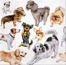 'Dogs Happiness' 33cm 3 Ply Napkins