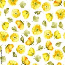 'Floral Glow' 33cm 3 Ply Napkins